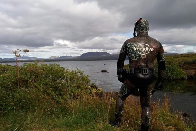Freedive Silfra Half Day Tour - Gear, wetsuits, and the quick reality check before you enter