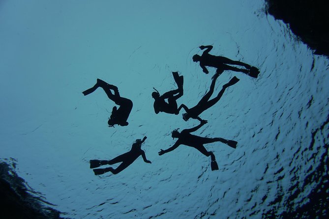 Freedive Silfra Half Day Tour - Price and value: what $233.50 buys you in the real world