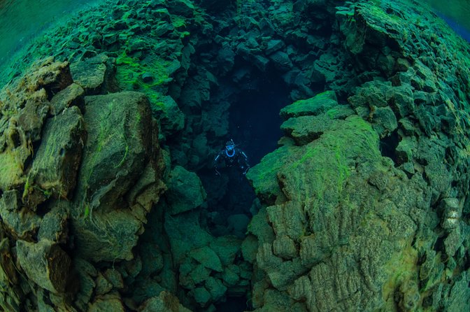 Freedive Silfra Half Day Tour - Logistics you should plan for before you go