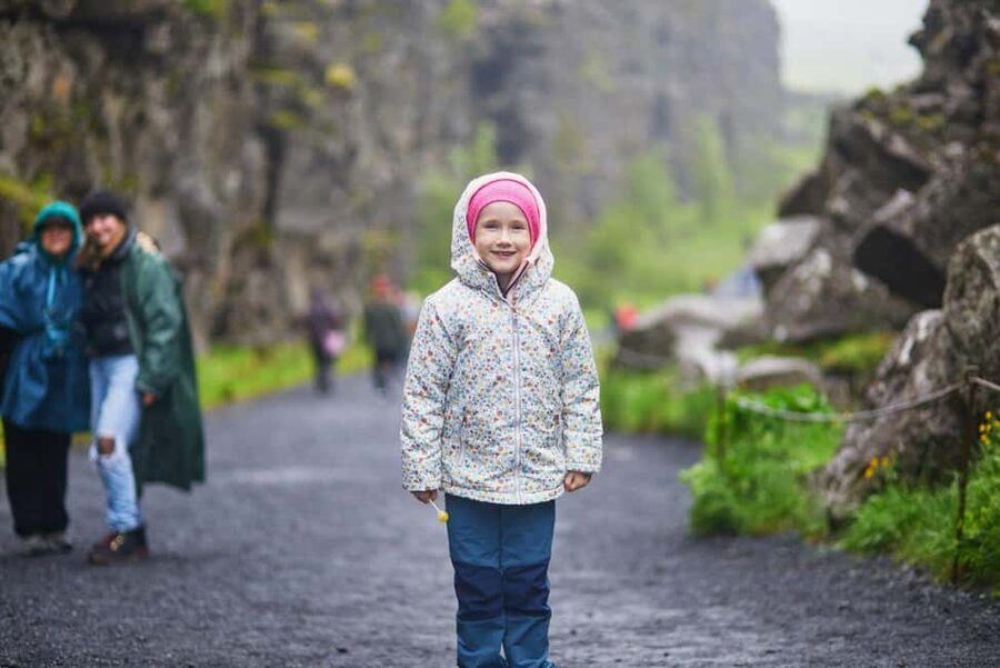 From Reykjavik: 3-Day Northern Lights Hunt & Glacier Lagoon - Day 3: Reynisfjara black sand, Skógafoss, Seljalandsfoss, and the Blue Lagoon add-on