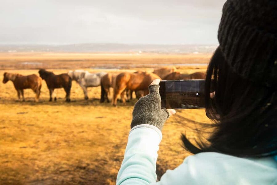 From Reykjavik: 3-Day Northern Lights Hunt & Glacier Lagoon - Price and value: what you pay for, and what you still budget