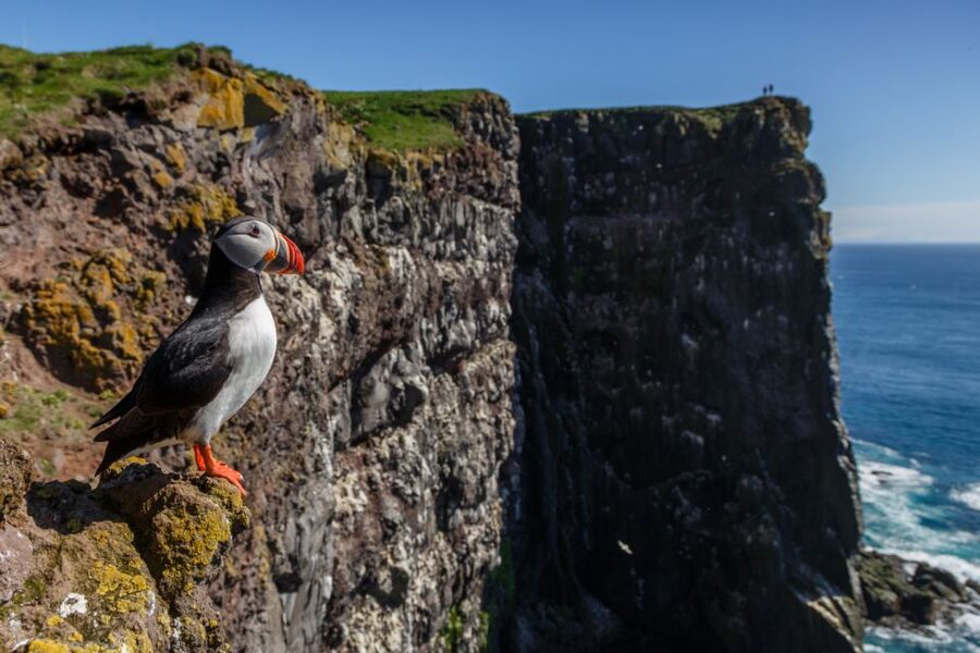 From Reykjavík: 3-Day Tour of the Wild Westfjords - Day 2: Látrabjarg Puffins, Rauðisandur Color Sands, Dynjandi, and Ísafjörður
