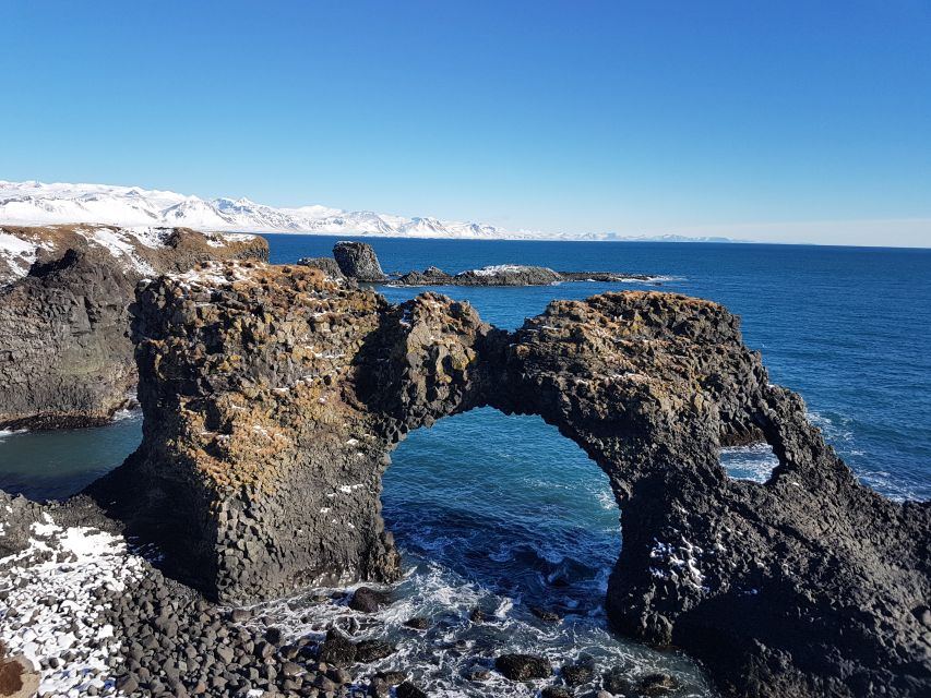 From Reykjavík: 4, 5, 6 or 7-Day Small-Group Ring Road Tour - Optional Day 5: Borgarfjörður waterfalls, horse farm time, and Viðgelmir lava cave