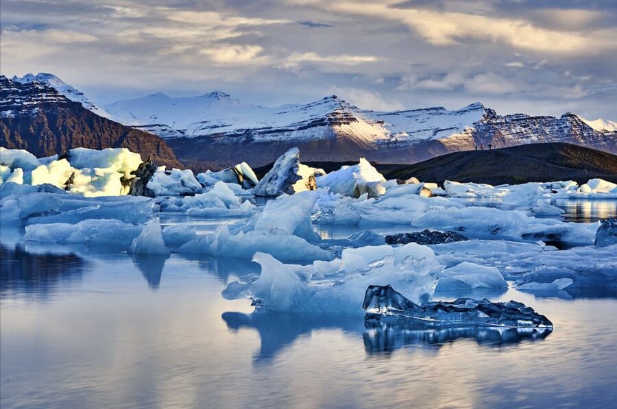 From Reykjavik: 6-Day Small Group Tour of Iceland - East Fjords Wildlife Day: Reindeer Searching and Local Culture Stops