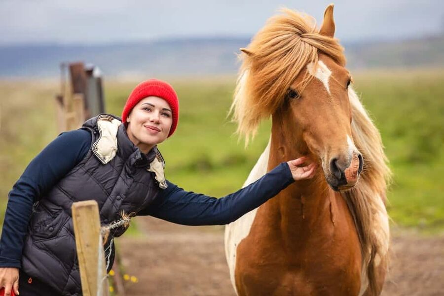 From Reykjavík: Best of Iceland 6-Day Stopover Tour - Quick hits that matter before you book