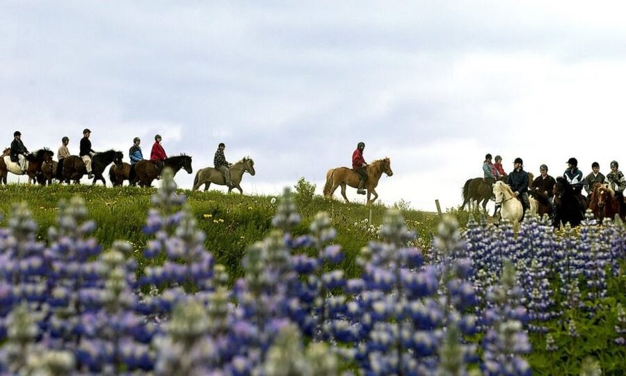 From Reykjavík: Full-day Golden Circle & Horse Riding Tour - The full-day timing: what 11 hours feels like in real life