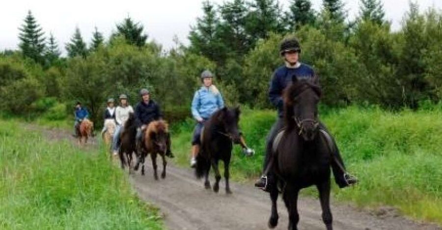 From Reykjavik: Full-Day Horse Riding & Golden Circle Tour - The countryside ride is the real value, so think like a rider
