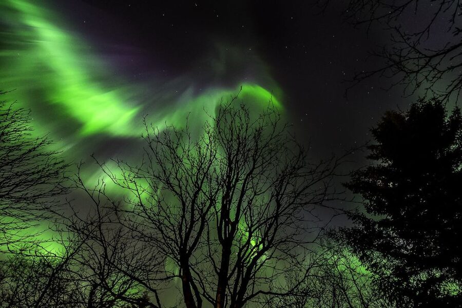 From Reykjavik: Golden Circle and Northern Lights Tour - Northern Lights hunting: timing windows and what the guide really does