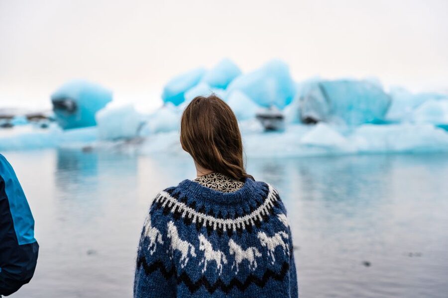 From Reykjavik: Jökulsárlón Glacier Lagoon and Diamond Beach - What kind of traveler fits this best?