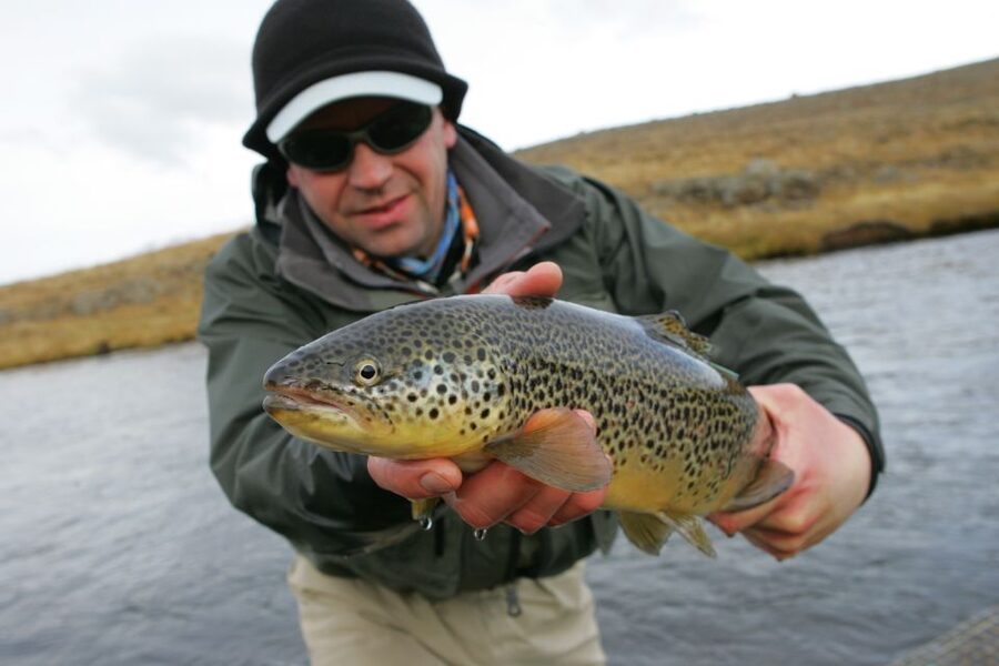 From Reykjavik: Lake and River Fishing Tour - Brown Trout and Arctic Char: Two Targets, More Satisfaction