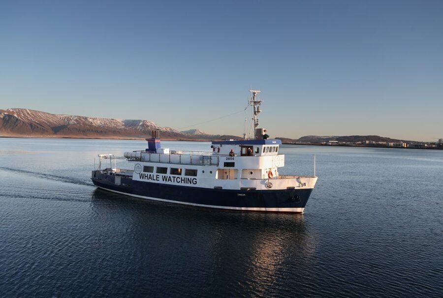 From Reykjavik: New Years Fireworks by Boat - Boat Setup and Viewing: How You Actually Get the Best Photos