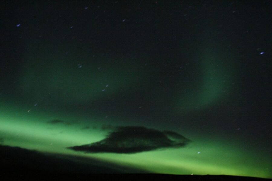 From Reykjavik: Northern Lights Boat Cruise - Price and value at about $101, plus who it suits