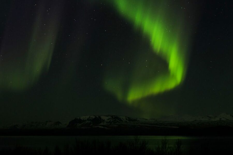 From Reykjavik: Northern Lights Bus Tour with Hot Cocoa - Price and Value: Why $74 Can Be a Good Deal