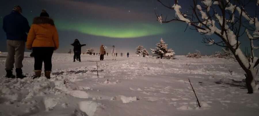 From Reykjavik: Northern Lights Chase with Expert Guide - Getting out of Reykjavik fast, without the usual chaos