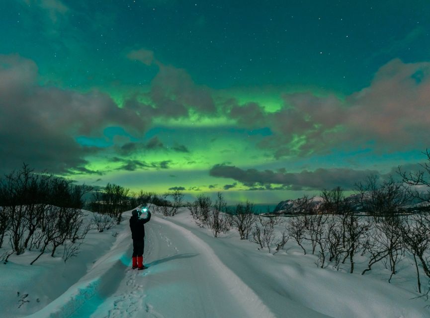 From Reykjavik: Northern Lights Chase with Expert Guide - The itinerary in plain English: your evening, step by step