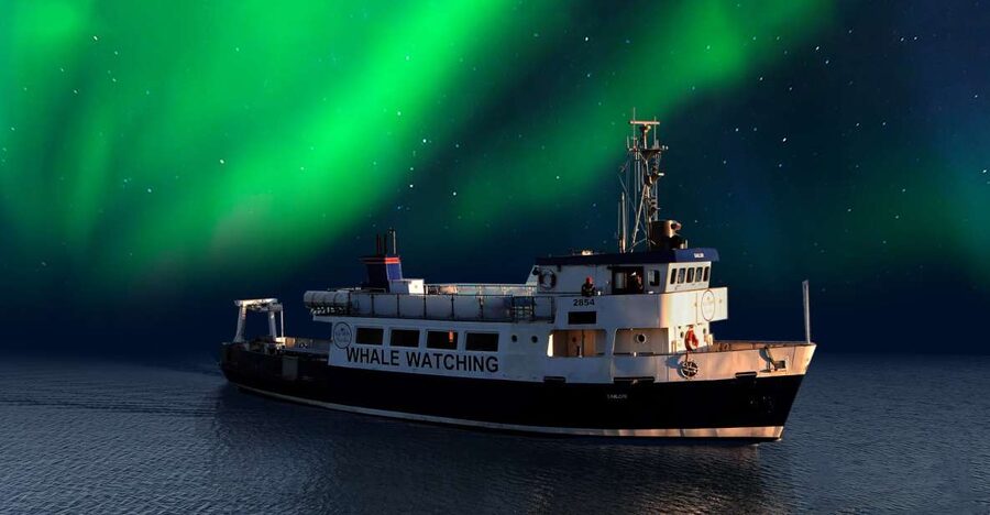 From Reykjavik: Northern Lights Sightseeing Cruise - The aurora hunt method: patience, scanning, and better timing