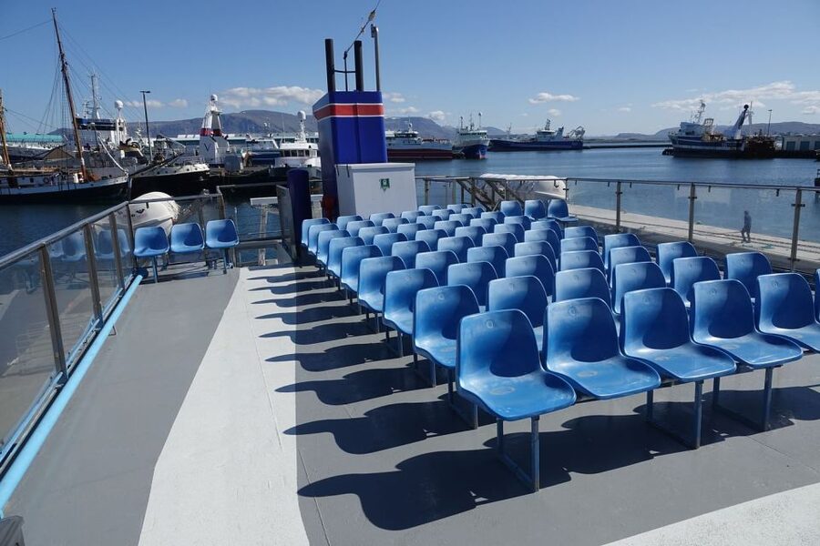 From Reykjavik: Northern Lights Sightseeing Cruise - Cold reality check: why blankets matter and how to dress
