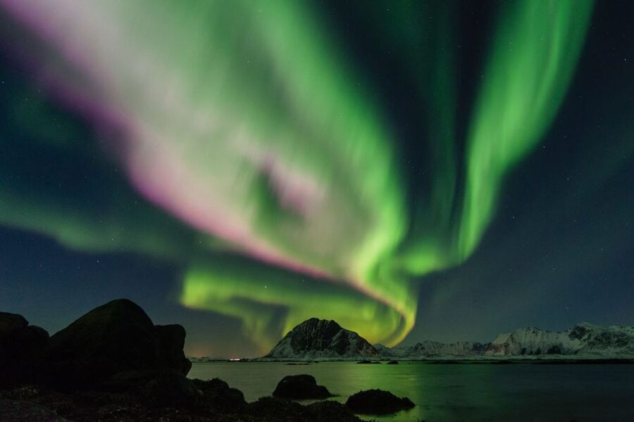 From Reykjavik: Northern Lights Sightseeing Cruise - Drinks and small comforts: what is included, what you buy