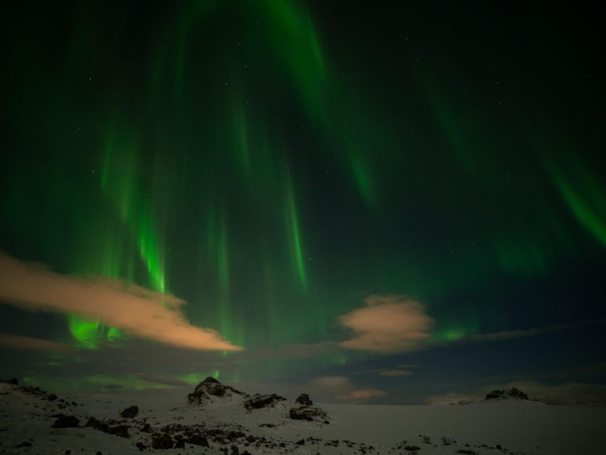 From Reykjavik: Northern Lights Tour with Hot Cocoa & Photos - Price and Value: Is $169 Worth It for 4 Hours of Aurora Hunting?