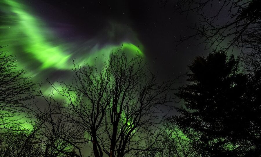 From Reykjavik: Northern Lights Tour with Lifetime Guarantee - Key highlights worth planning for