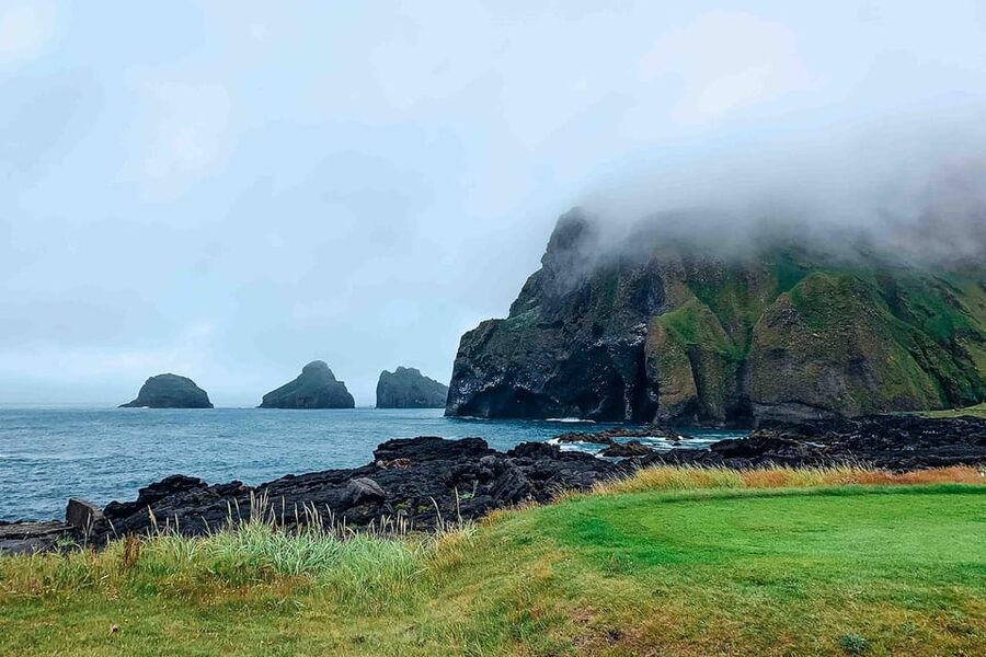 From Reykjavik: Puffin and Volcano Tour in Westman Islands - Town Time, Lava Fields, and Getting Back to Reykjavik