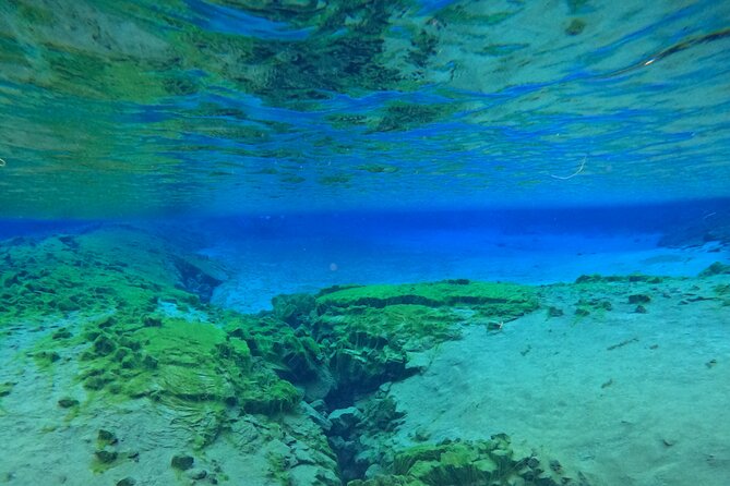 From Reykjavik- Silfra Snorkeling transfer included - Cold-water reality: dry suits, wet gloves, and how to handle it