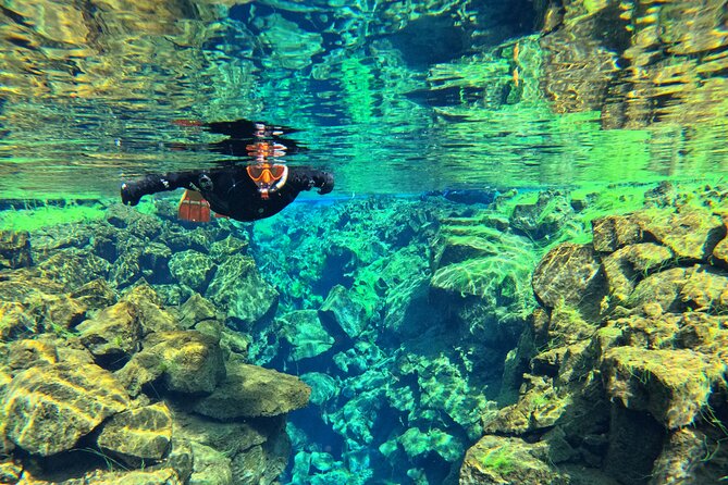From Reykjavik- Silfra Snorkeling transfer included - Who Silfra snorkeling is best for, and who should skip it