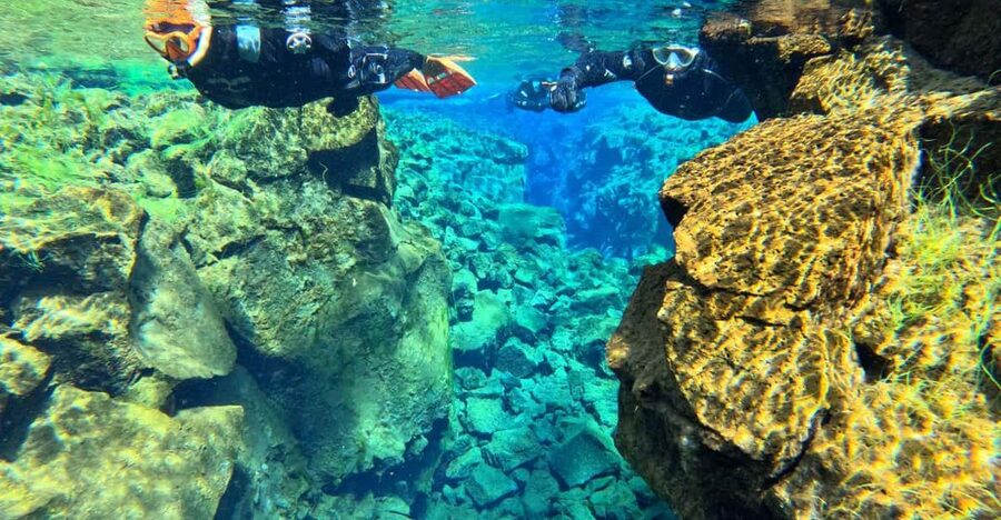 From Reykjavík: Silfra Snorkeling with free photos - The Underwater World: Clarity, Colors, and Dwarf Char