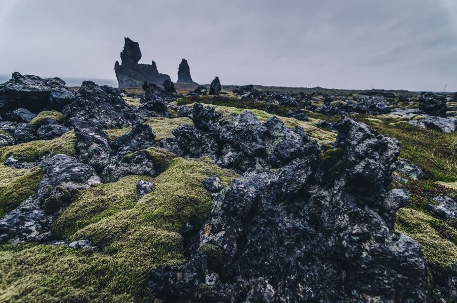 From Reykjavik: Snæfellsnes Full-Day Tour with Homemade Meal - Arnarstapi walking and the Black Church: coastal charm with real history