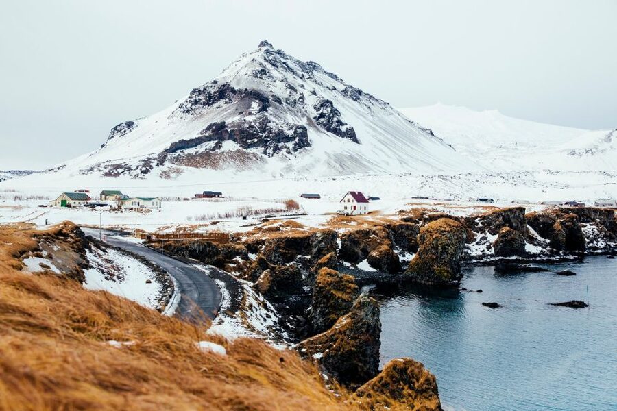 From Reykjavik: Snæfellsnes Full-Day Tour with Homemade Meal - Ytri Tunga seals: a nature stop that feels like a bonus