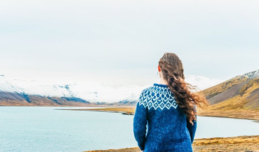 From Reykjavik: Snæfellsnes Full-Day Tour with Homemade Meal - Lunch at the horse ranch: the meal break you will remember