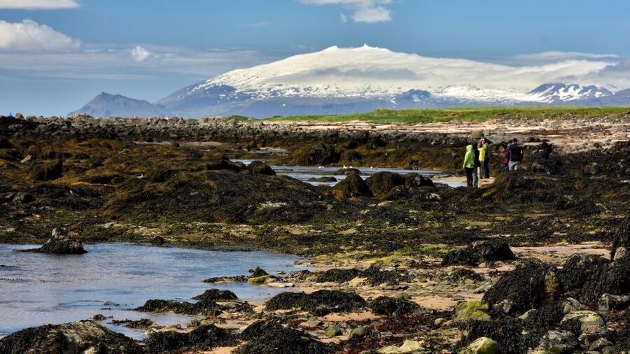 From Reykjavik: Snaefellsnes - Small Group, Lunch Included - Djúpalónssandur and the Stones of Trial: Optional Challenge Time