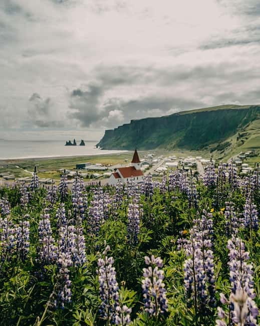From Reykjavík: South Coast Highlights Day Tour - The Morning Setup: Reykjavík Pickup and the First Stretch South