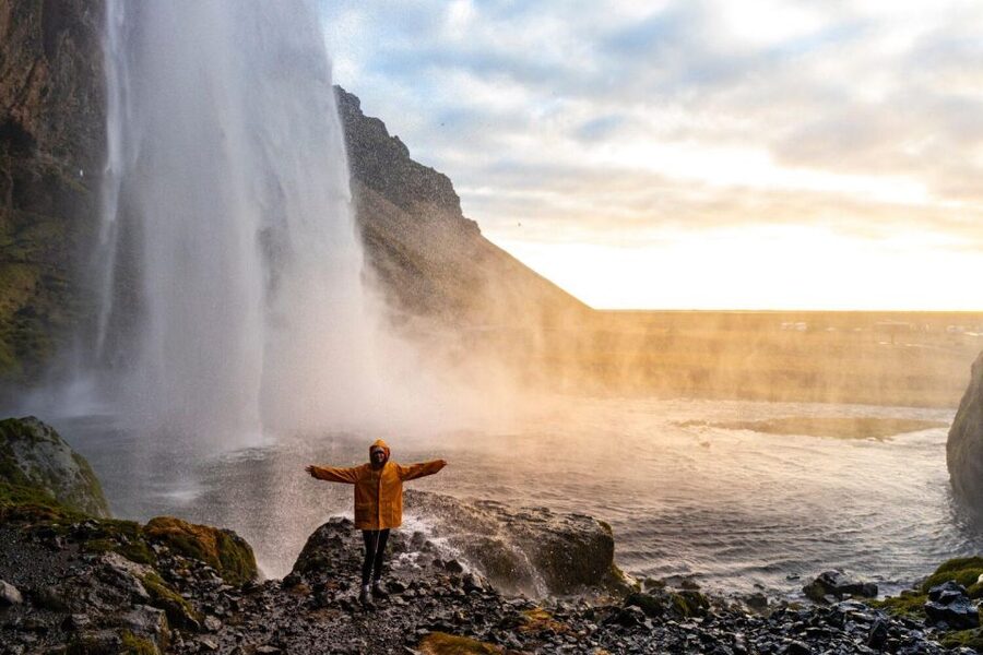 From Reykjavik: South Coast Tour & DC-3 Plane Wreck - Reynisfjara black sand, basalt columns, and lunch time in a dramatic place