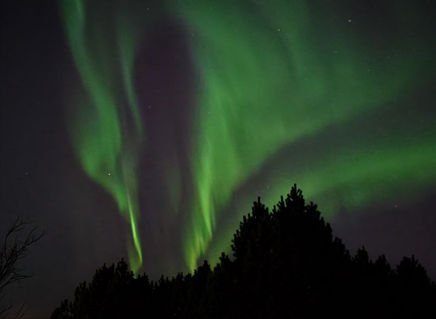 From Reykjavík: Spot the Northern Lights with Snacks & Drink - Hot Chocolate, Icelandic Snacks, and Practical Camera Tips