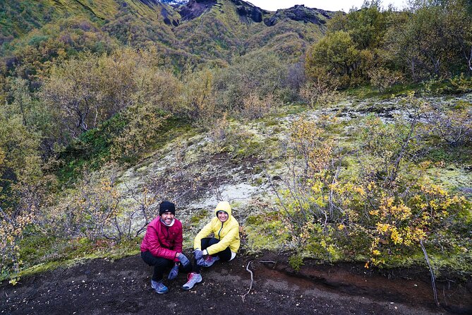 From Reykjavik Thorsmork 4x4 Day Tour - Nauthúsagil ravine: the narrow passage with rowan tree shade