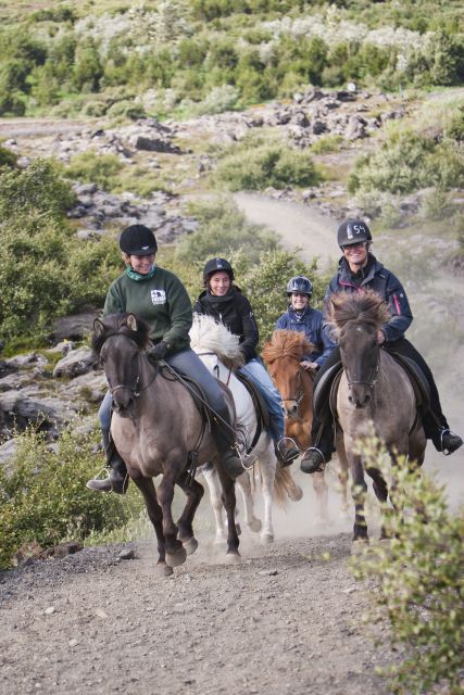 From Reykjavík: Viking Horseback Tour in Hafnarfjörður - What You Actually Do: Icelandic Gaits You Can Feel