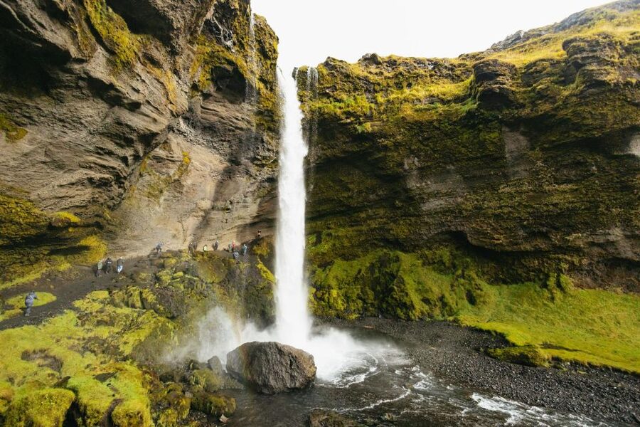 From Reykjavík: Waterfalls, Black Beach & Glacier Day Trip - Who should book this tour