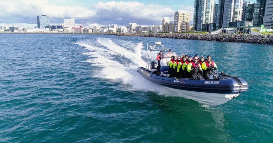 From Reykjavik: Whale Watching Tour by Speedboat - Key things I’d bank on