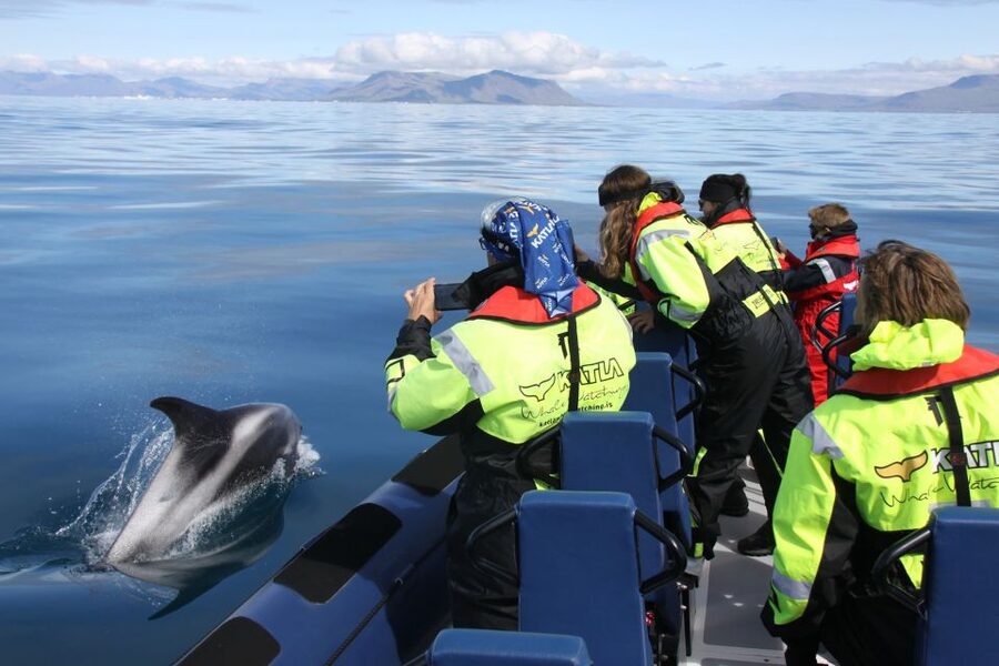 From Reykjavik: Whale Watching Tour by Speedboat - From the old harbor to open water, Harpa and Sun Voyager first