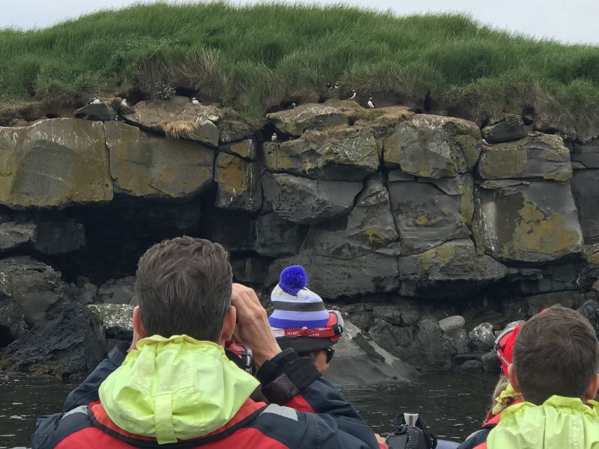 From Reykjavik: Whale Watching Tour by Speedboat - What the RIB ride feels like at speed, and when to pick your day