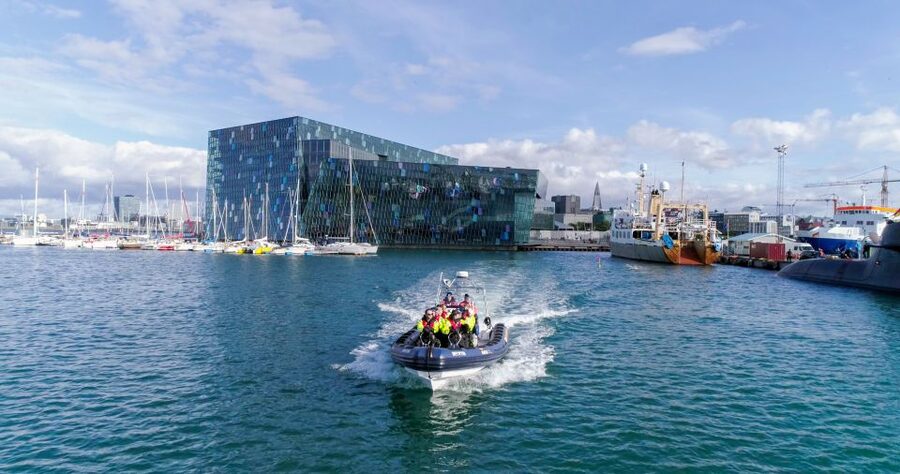 From Reykjavik: Whale Watching Tour by Speedboat - Wildlife sightings to expect, and what “close encounter” realistically means