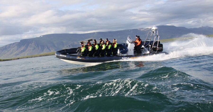 From Reykjavik: Whale Watching Tour by Speedboat - Price and value: why $192 may still feel fair