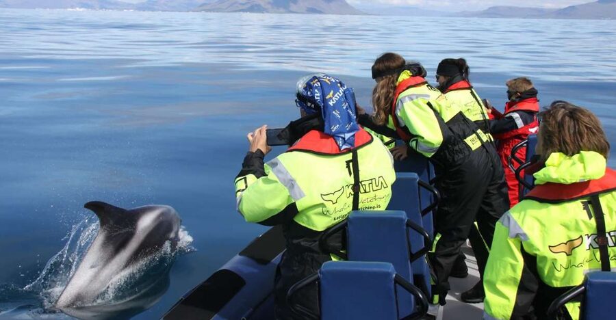 From Reykjavik: Whale Watching Tour by Speedboat - Meeting at Ægisgarður 5G, and why your shoes matter