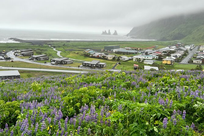 Full-Day Private Guided Tour in South Coast, Iceland - Vik lunch time with a view, and what you should expect