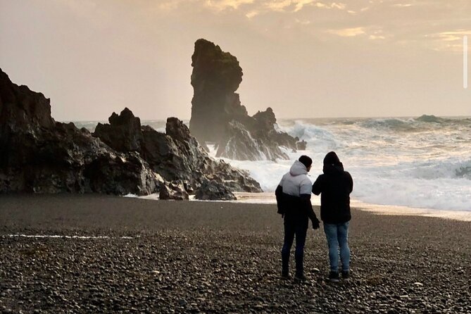 Full-Day Private South Coast Tour (1-7 pax) - The real win: a private south coast day, built for your timing