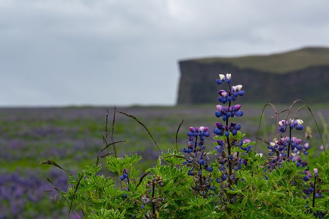 Full-Day Private Tour to Explore South Coast of Iceland - Key Things That Make This South Coast Day Work