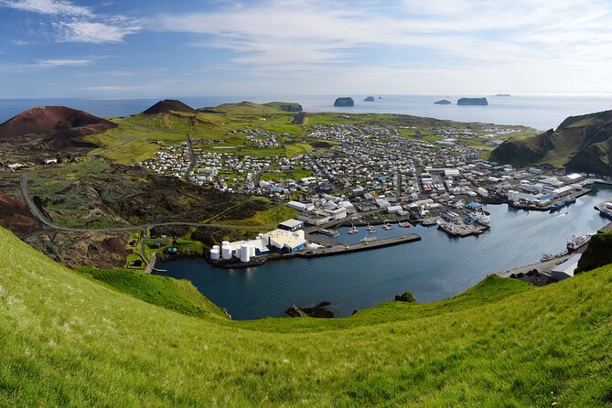 Full Day Private Westman Island Tour from Reykjavik - What to expect from the guide, and why that part matters