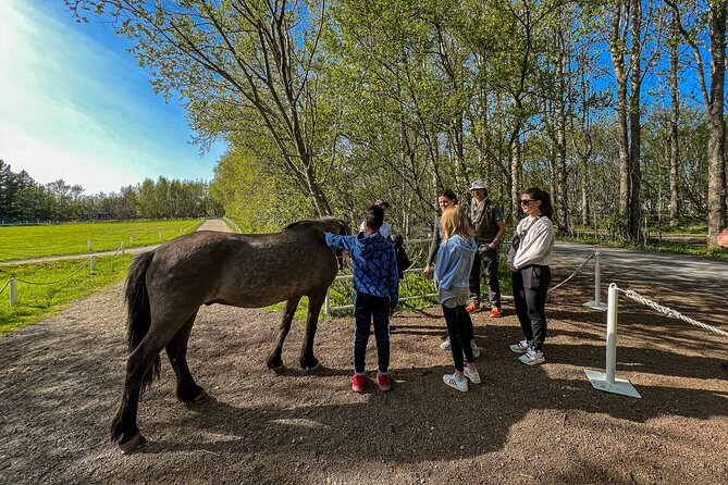 Golden Circle and Lunch at Fridheimar Tomato Farm - with photos - Friðheimar Tomato Farm lunch: greenhouse warmth and choice-driven comfort food