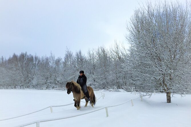 Golden Circle, Fridheimar Farm & Horses Small Group Tour from Reykjavik - Golden Circle from Reykjavik, but with two smart add-ons